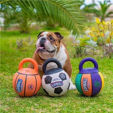 ของเล่นสุนัข GIGWI JUMPBALL BASKETBALL_1