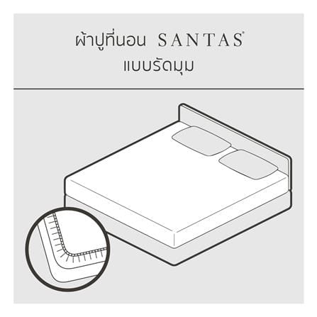 ชุดผ้าปูที่นอน 6 ฟุต 6 ชิ้น SANTAS COTTON USA SENSE DK_3