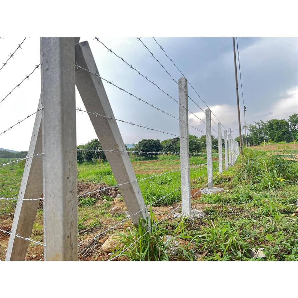 เสารั้วอัดแรง 4 นิ้ว เสริมเหล็ก GC 10x10x200 ซม.