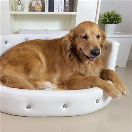 โซฟาสัตว์เลี้ยง PET BUDDY PB05L 35x67x91 ซม. สีขาว_4