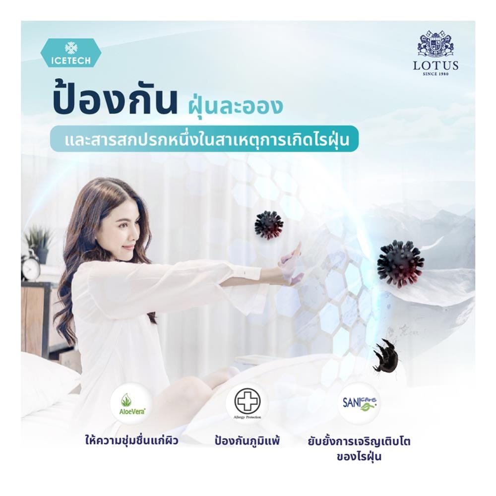 แผ่นรองนอน 3.5 ฟุต LOTUS REGIS II