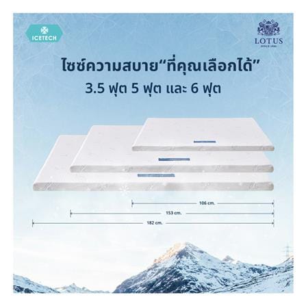 แผ่นรองนอน 3.5 ฟุต LOTUS REGIS I_12