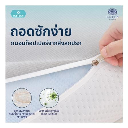 แผ่นรองนอน 3.5 ฟุต LOTUS REGIS I_5