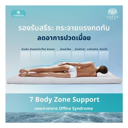 แผ่นรองนอน 3.5 ฟุต LOTUS REGIS I_8