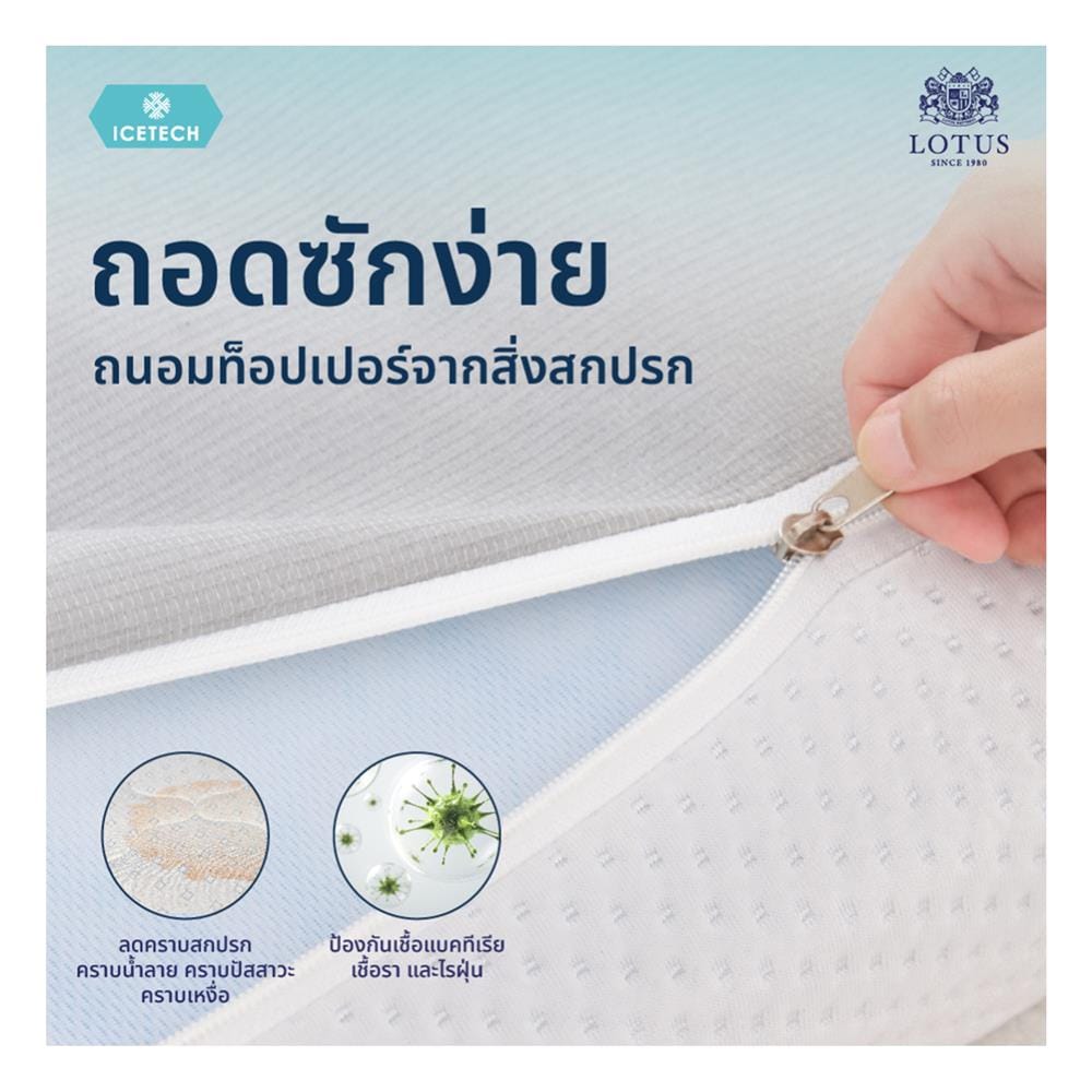 แผ่นรองนอน 6 ฟุต LOTUS REGIS II