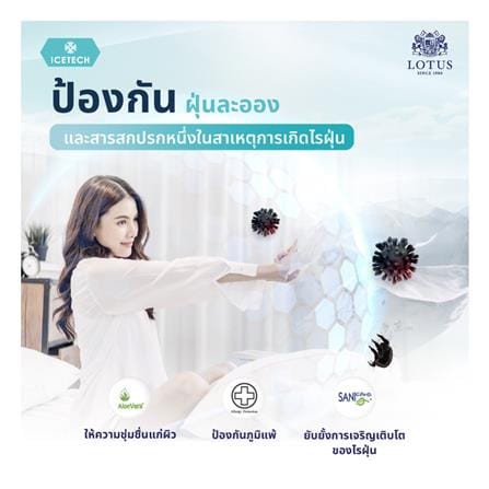 แผ่นรองนอน 6 ฟุต LOTUS REGIS II_3