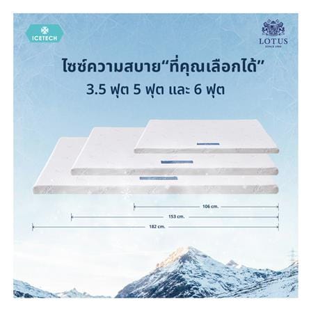 แผ่นรองนอน 6 ฟุต LOTUS REGIS II_12