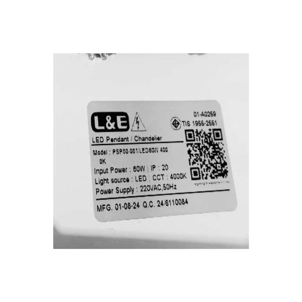 ไฟช่อ LED L&E 01-A0259 60 วัตต์ COOL WHITE สีขาว 1 หัว