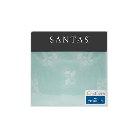 ชุดผ้าปูที่นอน 5 ฟุต 5 ชิ้น SANTAS TEXIMA HYGGE GN_5