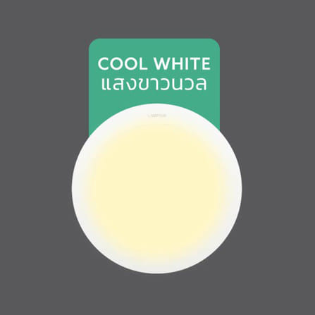 ดาวน์ไลท์ LED LAMPTAN ULTRA SLIM PC 5 นิ้ว 9 วัตต์ COOL WHITE สีขาว_4