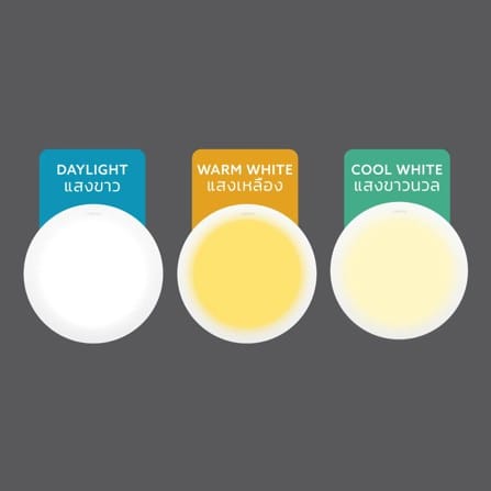 ดาวน์ไลท์ LED LAMPTAN ULTRA SLIM PC 6 นิ้ว 12 วัตต์ COOL WHITE สีขาว_6