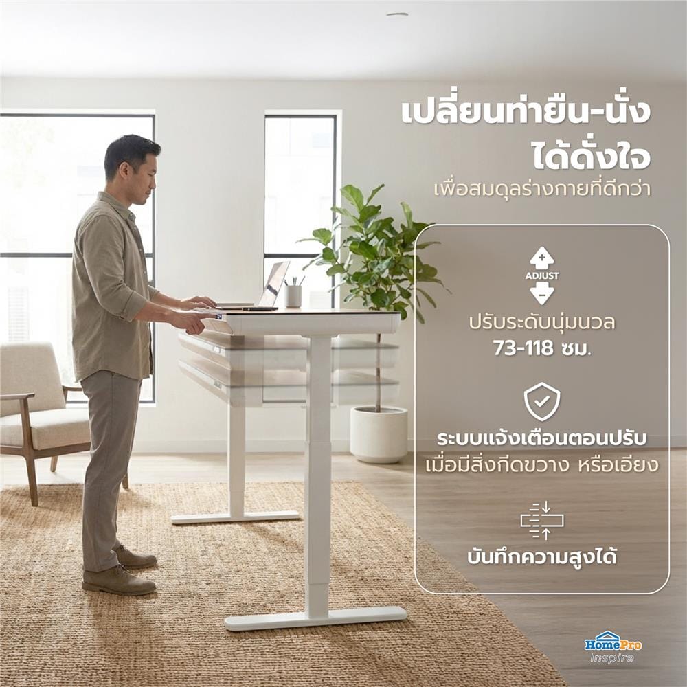 โต๊ะปรับระดับไฟฟ้า FURDINI VISTA THEA2D-FM1S2-1200L 120 ซม. สีไลท์ วอลนัท