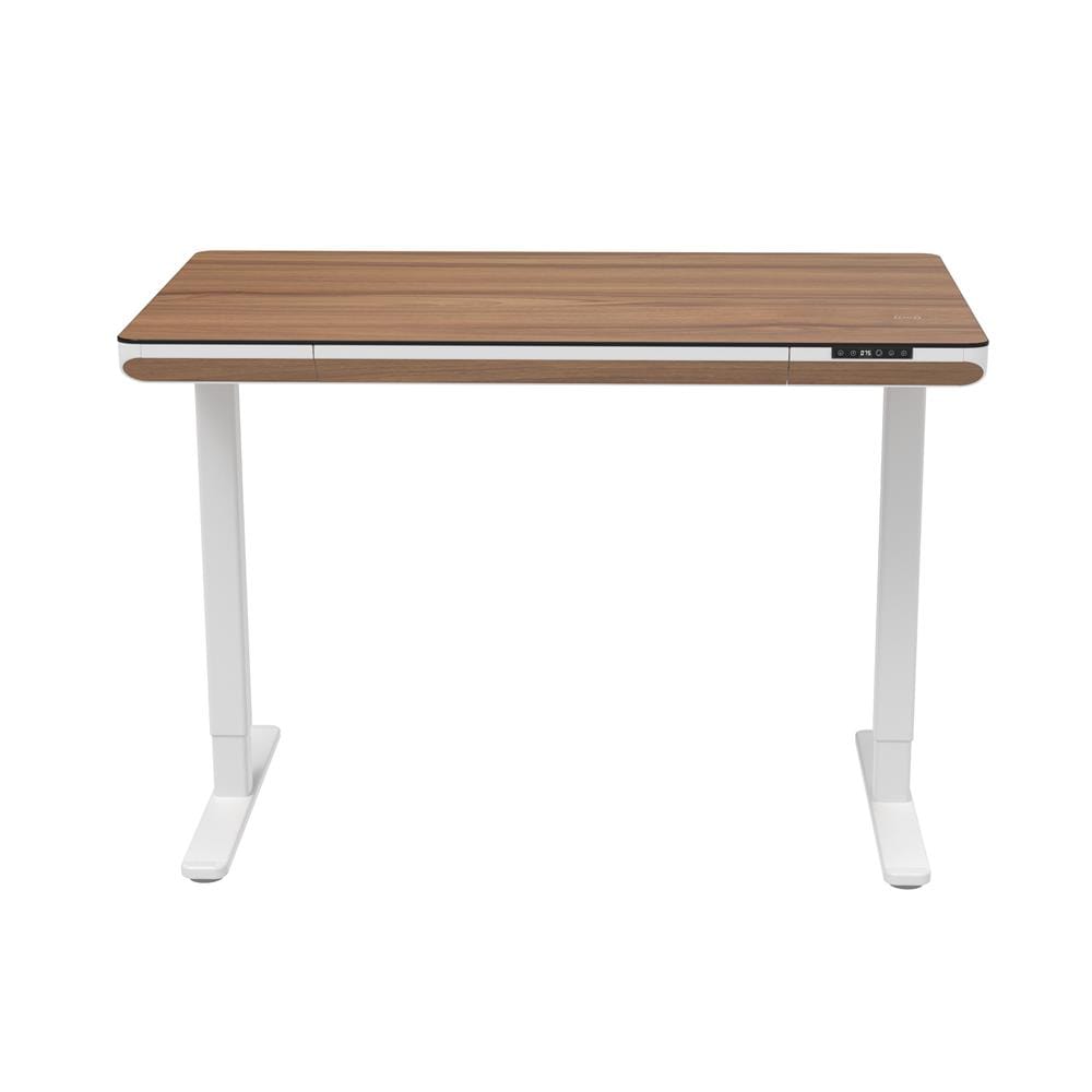โต๊ะปรับระดับไฟฟ้า FURDINI VISTA THEA2D-FM1S2-1200L 120 ซม. สีไลท์ วอลนัท