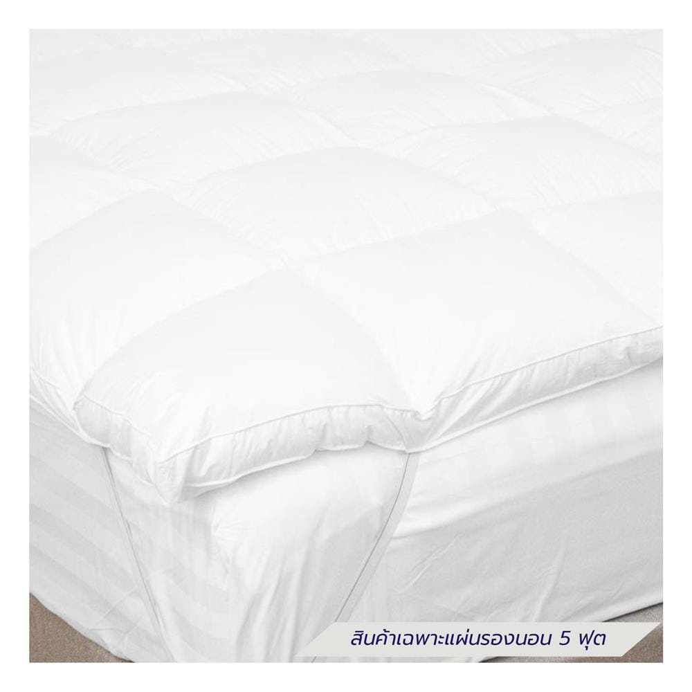 แผ่นรองนอน 5 ฟุต DREAMERY CT MICRO 2000G