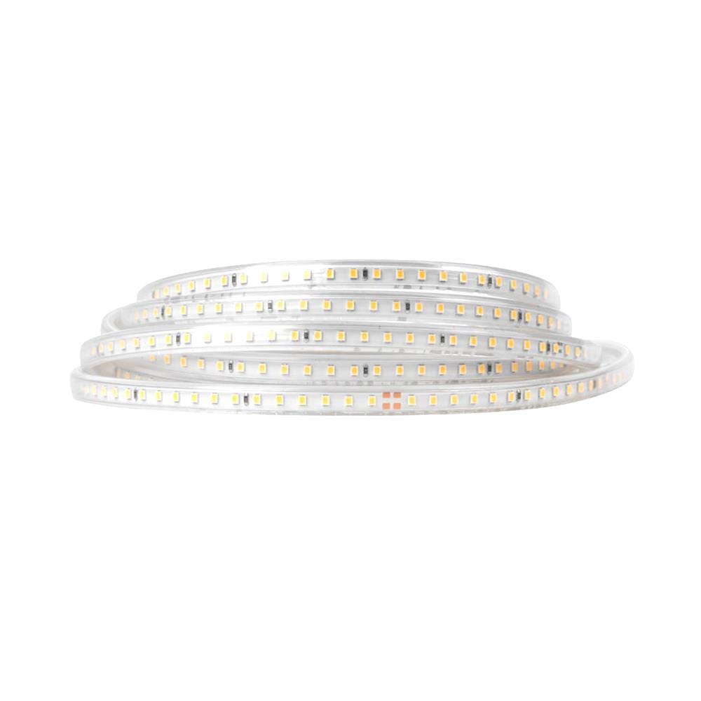 ไฟเส้น LED LAMPTAN STRIPLIGHT SET SMD 8 วัตต์ 5 เมตร WARM WHITE
