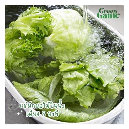 น้ำยาล้างผักและผลไม้ GREENGANIC 500 มล._4