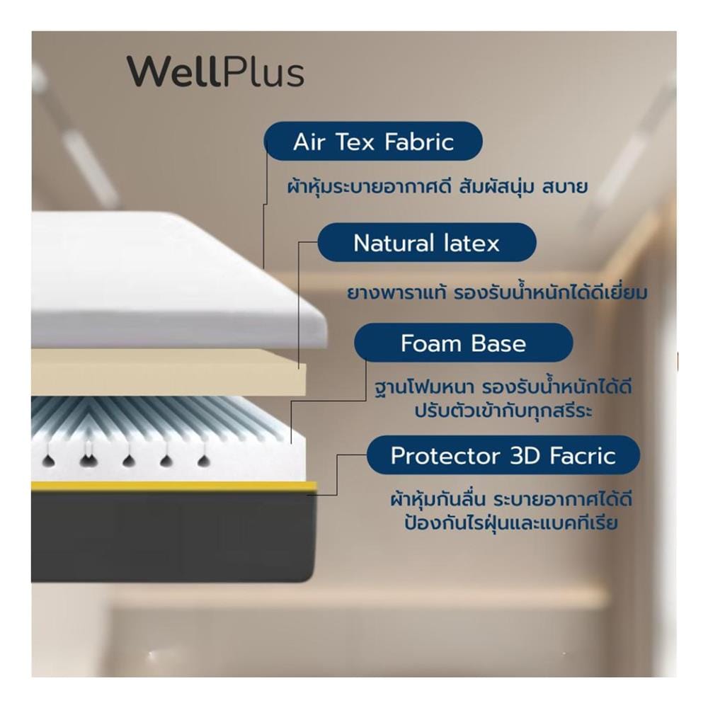 ที่นอนยางพารา 6 ฟุต สุญญากาศ WELLPLUS รุ่น AMELIA