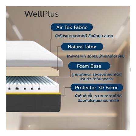 ที่นอนยางพารา 3 ฟุต สุญญากาศ WELLPLUS รุ่น AMELIA_3