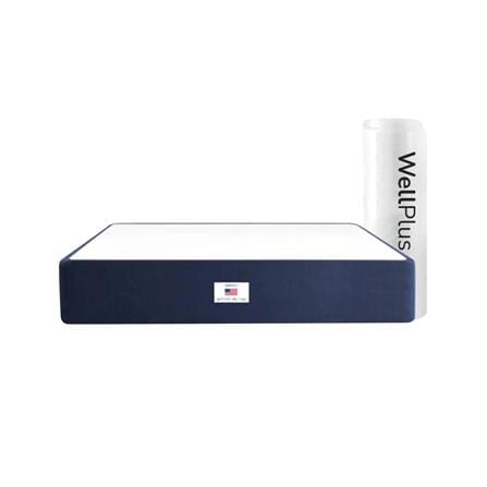 ที่นอนเมมโมรี่โฟม 6 ฟุต สุญญากาศ WELLPLUS รุ่น JULIA_0
