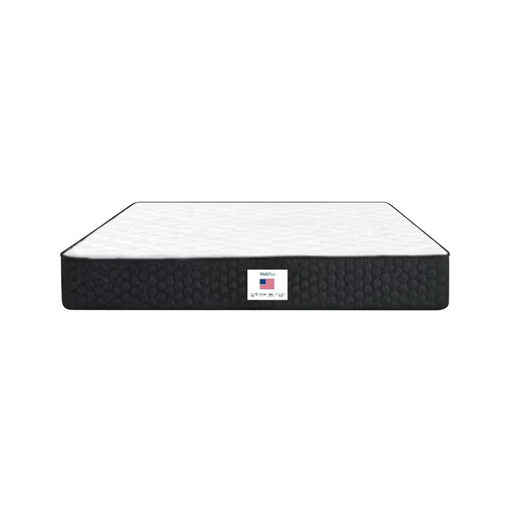 ที่นอนยางพารา 6 ฟุต WELLPLUS รุ่น CHET