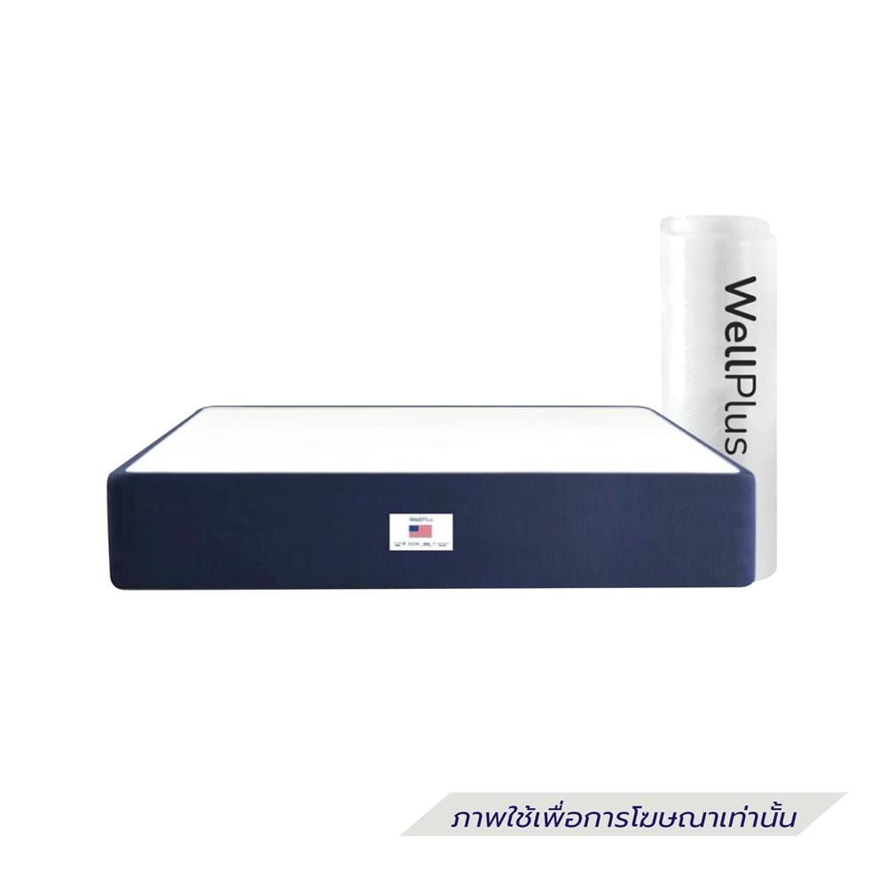 ที่นอนเมมโมรี่โฟม 3.5 ฟุต สุญญากาศ WELLPLUS รุ่น JULIA