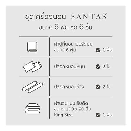 ชุดผ้าปูที่นอน 6 ฟุต (ชุด 6 ชิ้น) SANTAS COTTON USA สี MERAKI VI_6