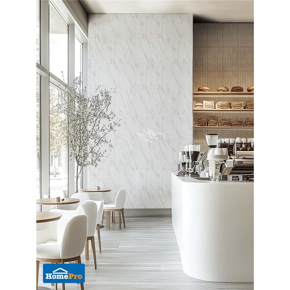 กระเบื้องผนัง 25x40 ซม. TARA อะมีร่า เดคโค่ ไวท์ A 1 ตร.ม.