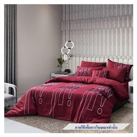 ชุดผ้าปูที่นอน 5 ฟุต (ชุด 5 ชิ้น) FACINO PRINT FA082_0
