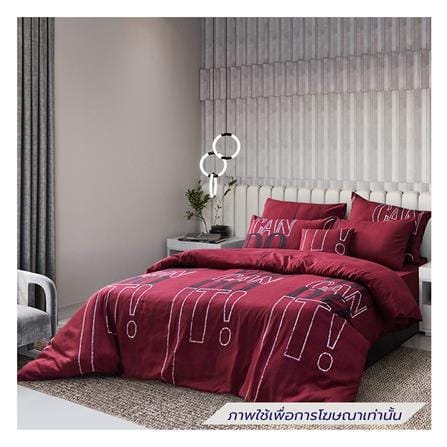 ชุดผ้าปูที่นอน 5 ฟุต (ชุด 6 ชิ้น) FACINO PRINT FA082_0