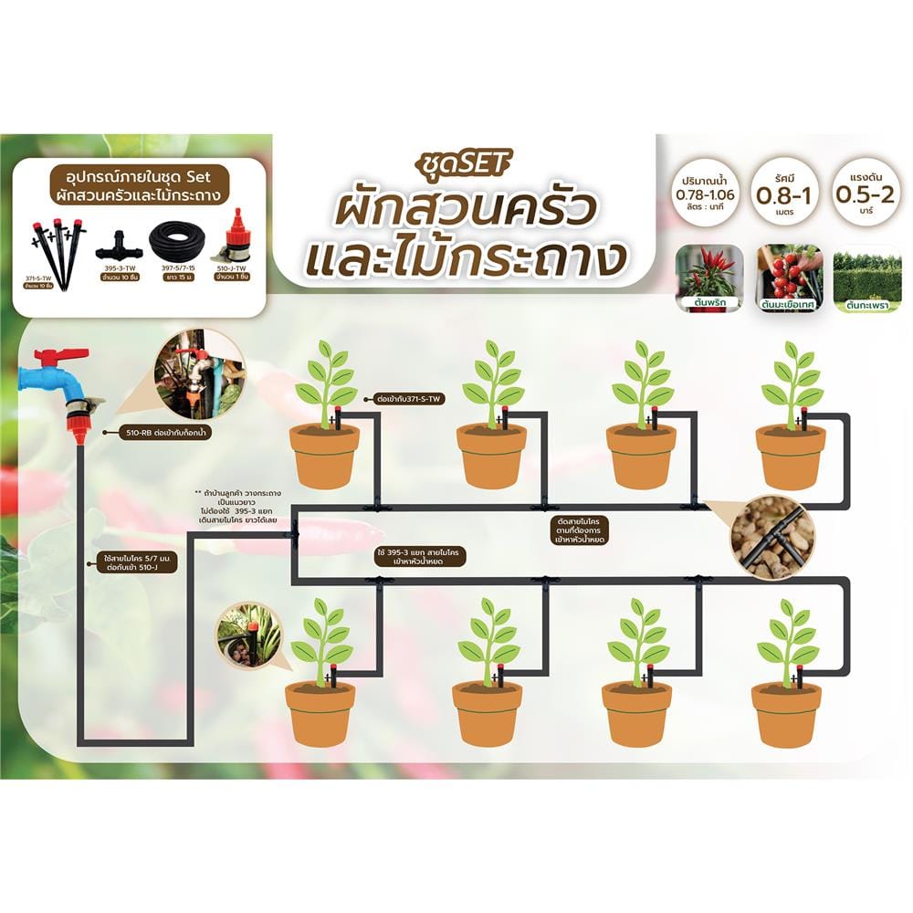 ชุดขาปักรดน้ำ ผักสวนครัวและไม้กระถาง SPRING