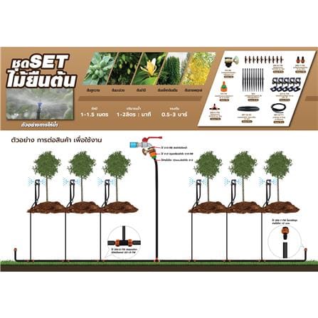 ชุดขาปักรดน้ำ ไม้ยืนต้น SPRING_2