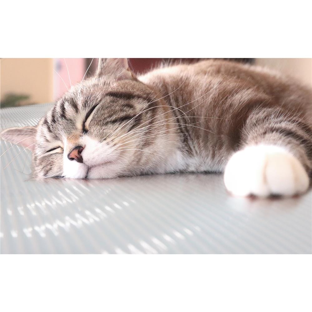 แผ่นอเนกประสงค์ลดอุณหภูมิ MEIWA LB 60X90 ซม.