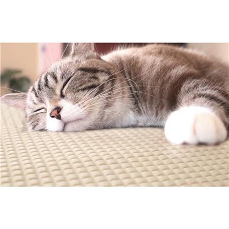 แผ่นอเนกประสงค์เพิ่มอุณหภูมิ MEIWA BE 60X90 ซม._7