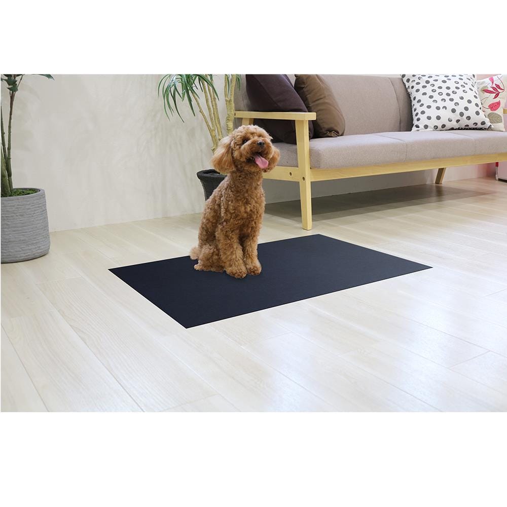พรมกันลื่น MEIWA NV 60X90 ซม.