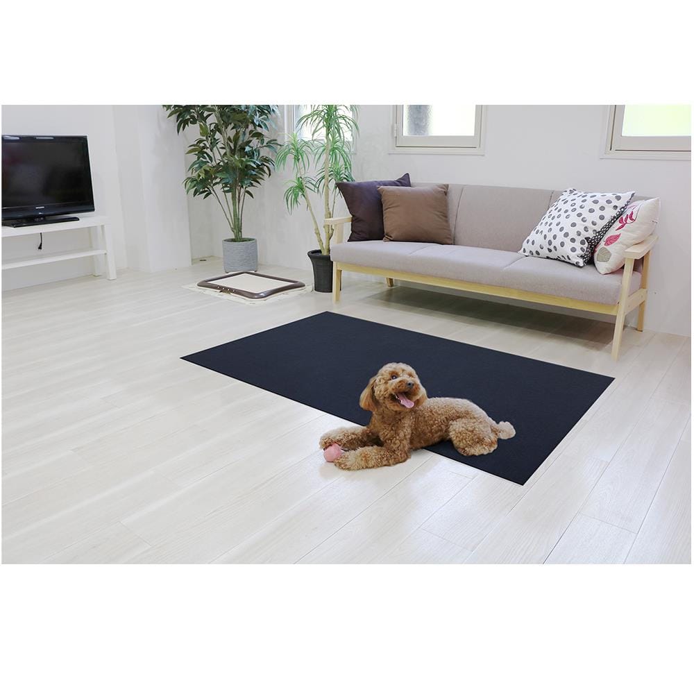 พรมกันลื่น MEIWA NV 60X90 ซม.