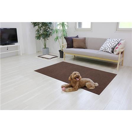 พรมกันลื่น MEIWA BR 60X90 ซม._5