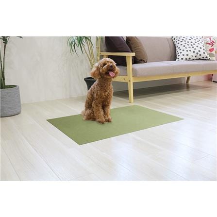 พรมกันลื่น MEIWA GR 60X90 ซม._6