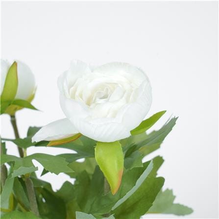 ดอกกุหลาบ SPRING 23 ซม._2
