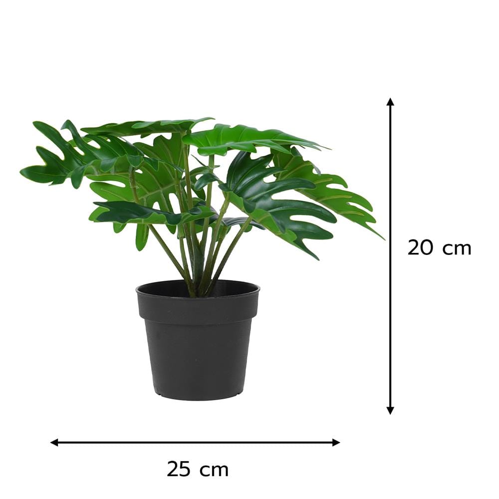 ต้นซานาดูประดิษฐ์ SPRING 20 ซม.