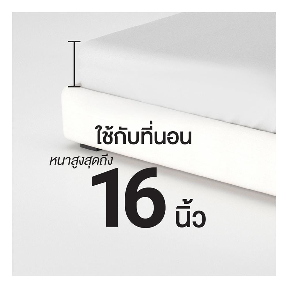 ชุดผ้าปูที่นอน 6 ฟุต (ชุด 6 ชิ้น) FROLINA COTTON BREEZE CBSF003