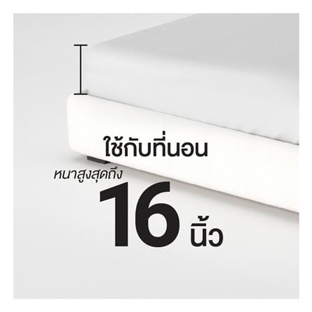 ชุดผ้าปูที่นอน 6 ฟุต (ชุด 6 ชิ้น) FROLINA COTTON BREEZE CBSF003_10