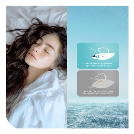 หมอนหนุน เมมโมรี่โฟม LOTUS ITALIAN MICRO VISCO 2.0 18x27 นิ้ว สีขาว_4