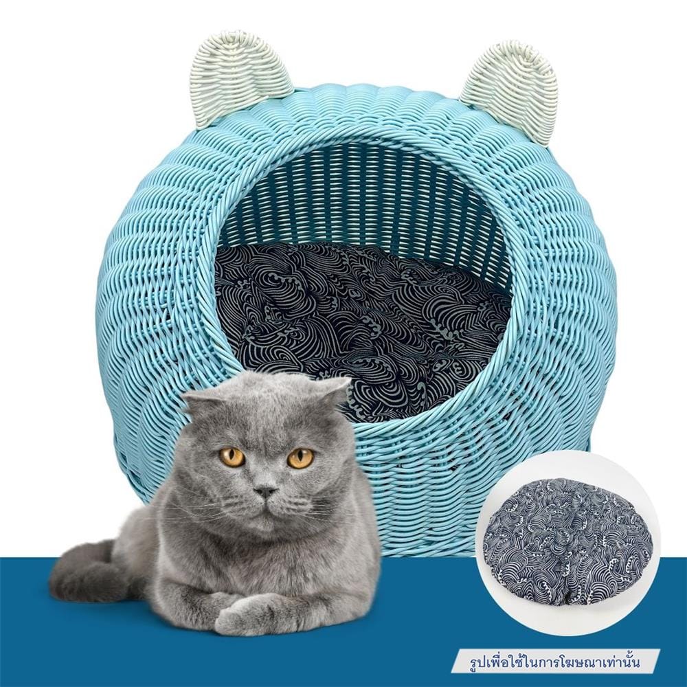 ที่นอนสัตว์เลี้ยง THAI FORWARD 45X44X40 ซม. สีฟ้า