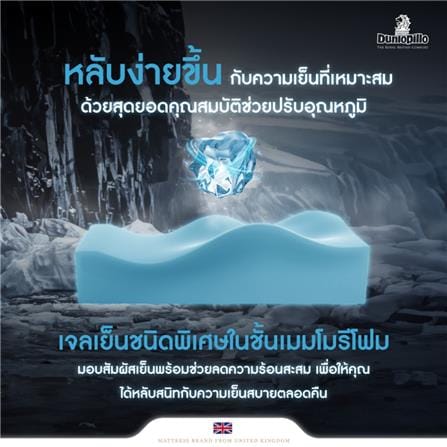 แผ่นรองนอน 3.5 ฟุต DUNLOPILLO EXBURY_7