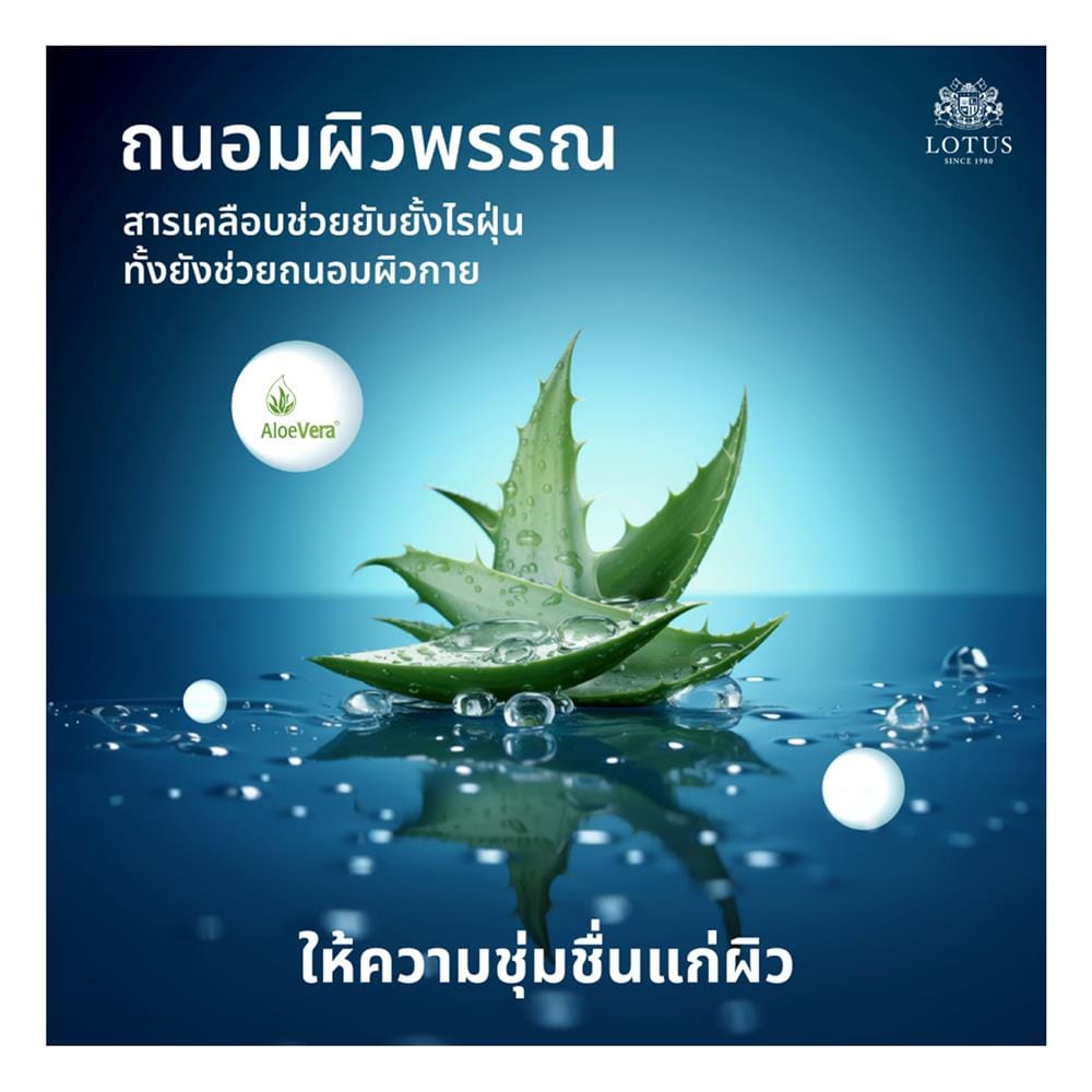 ที่นอนพ็อกเก็ตสปริง 3.5 ฟุต สุญญากาศ LOTUS รุ่น ASLEEP III พร้อมหมอนหนุน 1 ใบ