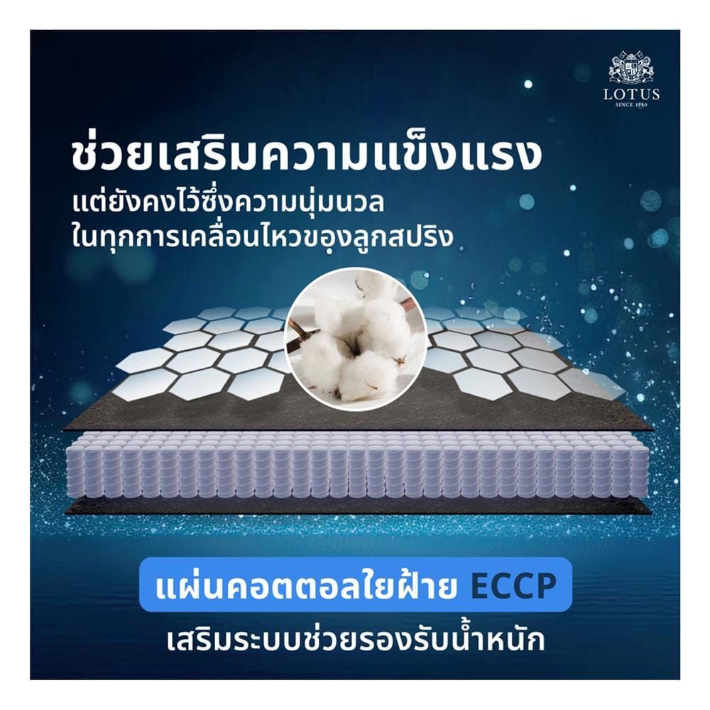 ที่นอนพ็อกเก็ตสปริง 3.5 ฟุต สุญญากาศ LOTUS รุ่น ASLEEP III พร้อมหมอนหนุน 1 ใบ