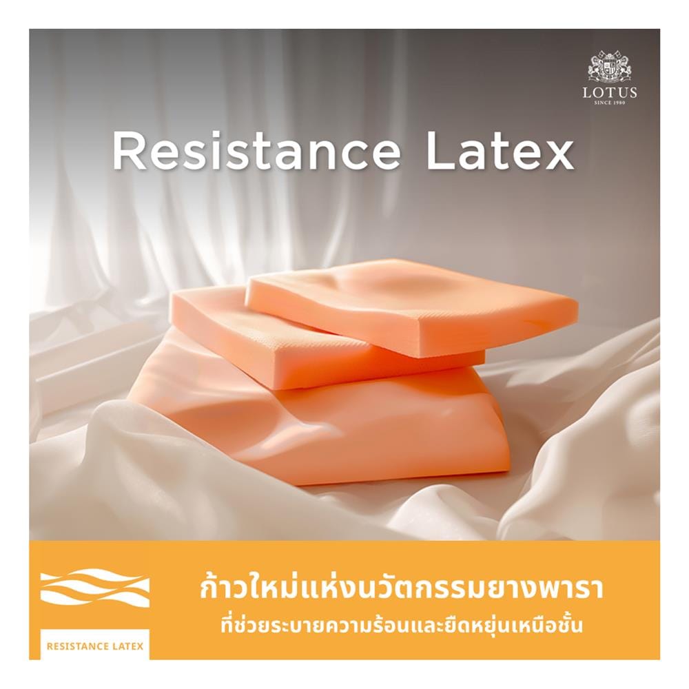 ที่นอนพ็อกเก็ตสปริง 5 ฟุต สุญญากาศ LOTUS รุ่น ASLEEP I พร้อมหมอนหนุน 2 ใบ