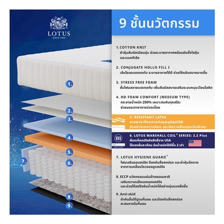 ที่นอนพ็อกเก็ตสปริง 5 ฟุต สุญญากาศ LOTUS รุ่น ASLEEP I พร้อมหมอนหนุน 2 ใบ_4