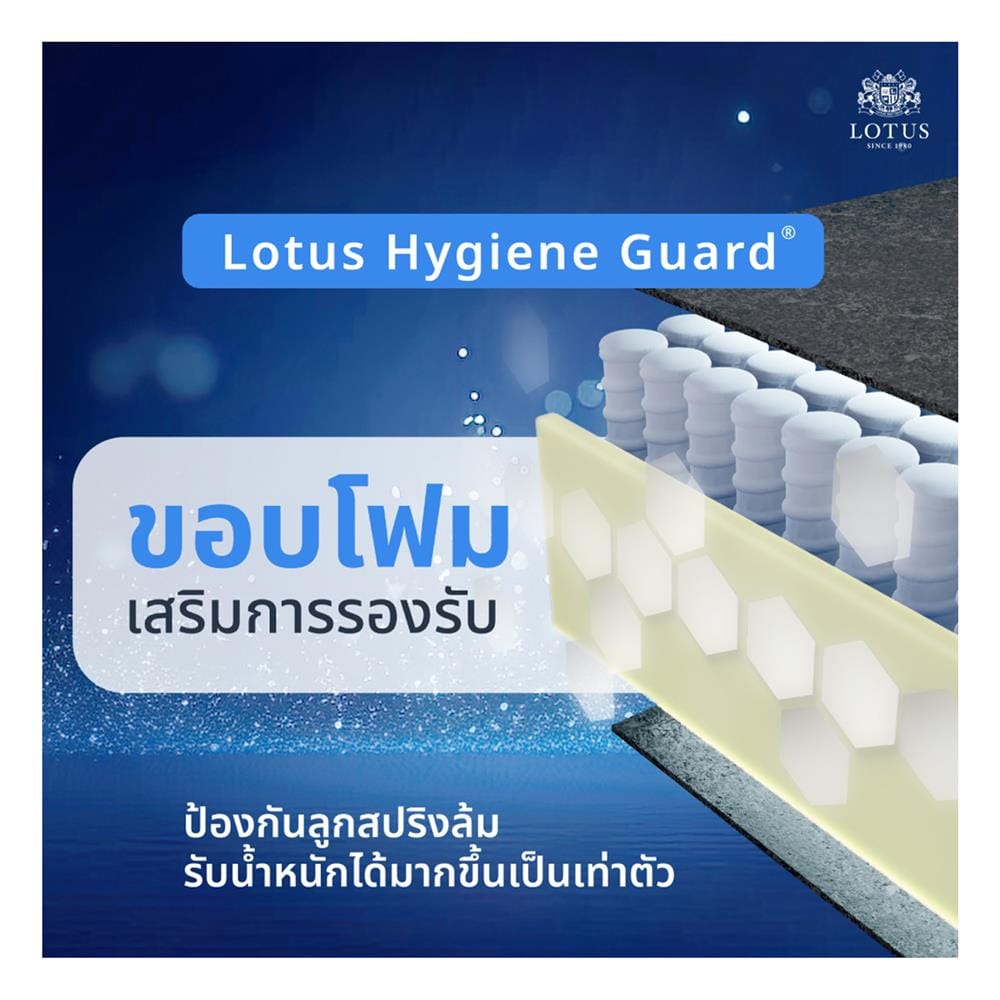 ที่นอนพ็อกเก็ตสปริง 3.5 ฟุต สุญญากาศ LOTUS รุ่น ASLEEP II พร้อมหมอนหนุน 1 ใบ