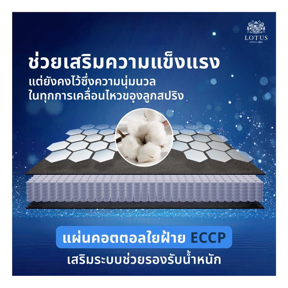 ที่นอนพ็อกเก็ตสปริง 3.5 ฟุต สุญญากาศ LOTUS รุ่น ASLEEP II พร้อมหมอนหนุน 1 ใบ